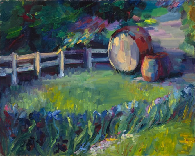 Picchetti winery barrels with Van Gogh's irises in the foreground